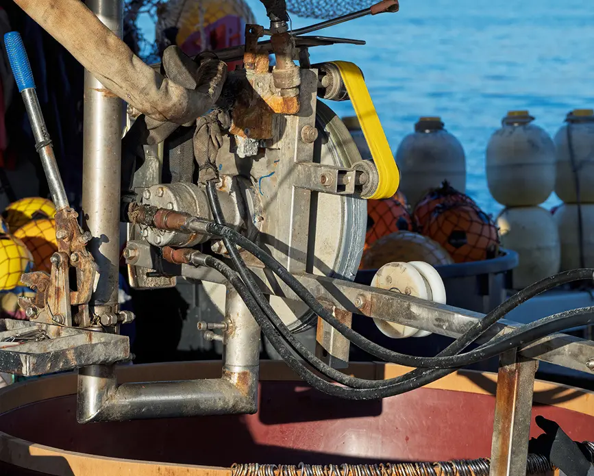 Close-up of fishing gear and tools
